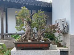 -雨花胜境
