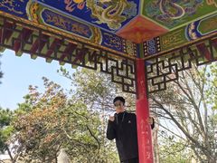 -青龙山国家森林公园
