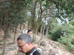 -火炉山森林公园