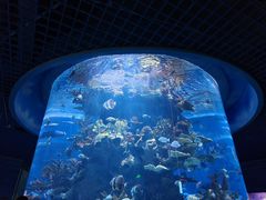 -多彩贵州城极地海洋世界