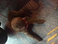 -嘉善路(地铁站)