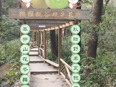 -大岭沟猕猴桃谷风景区