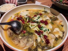 -YAFEE雅菲·粤菜·湘菜·融合菜(魏公村店)