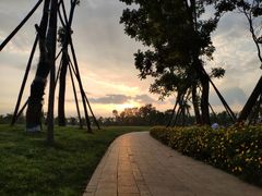 -白鹭湾湿地公园