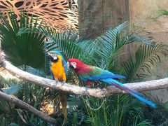 -杭州开元森泊度假乐园