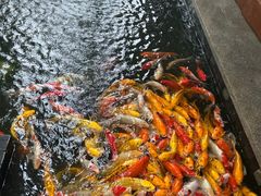 -三亚亚龙湾五号度假别墅酒店