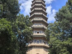 -灵谷景区