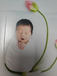 -玛瑞莎孕婴童摄影到家拍