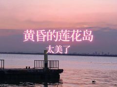 -小陆莲花蟹园农家乐(莲花岛店)