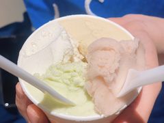 油柑茉莉-DIP in GELATO(富民路店)