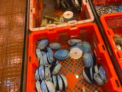 -德兴海鲜渔港(辉煌大厦店)