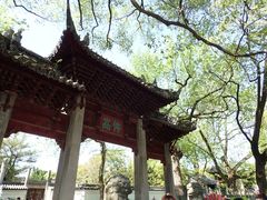 -汇龙潭