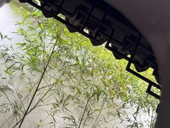 -苏州园林博物馆