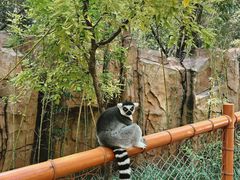 -北京野生动物园