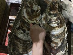 -蚝专家(北滘店)