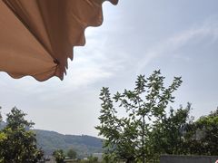 -桃源山庄·水蜜桃采摘·柴火鸡·烧烤团建(龙泉山店)
