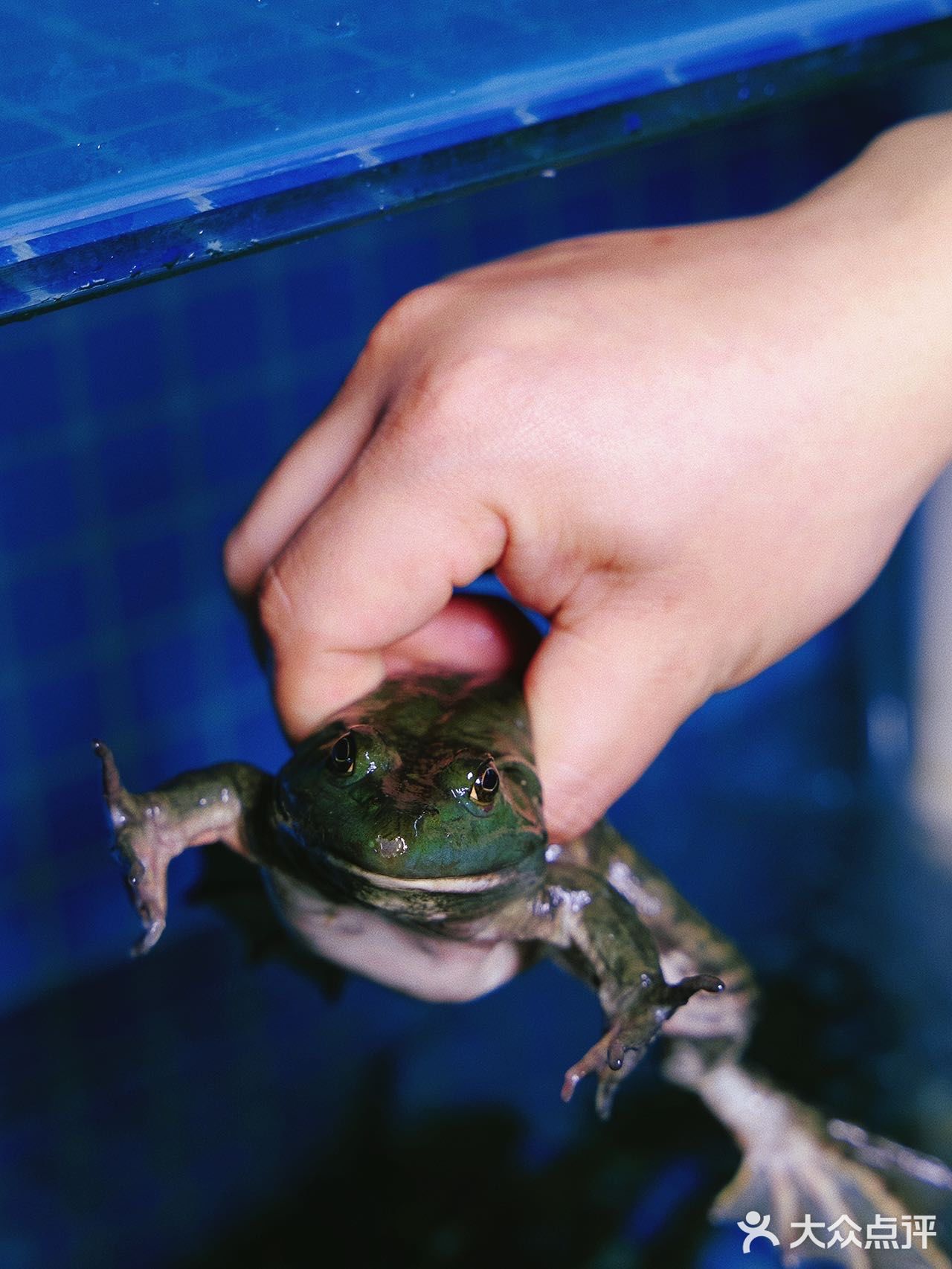 这个冬天❄️川渝鱼蛙火锅必须拥有姓名‼️