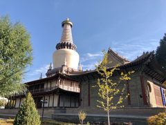 -张掖大佛寺景区