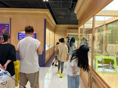 -帕帕拉兹宠物(亚洲旗舰店)