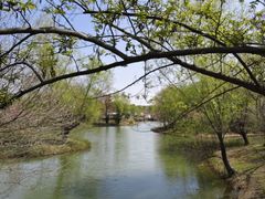 -梁鸿国家湿地公园