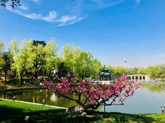 -钓鱼台国宾馆