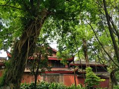 -峨眉山报国寺