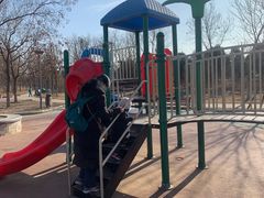 -大兴滨河森林公园