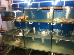 水产区-胖大嫂渔家排档·全海景餐厅(渔村店)