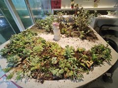 -春树下·树屋花房西餐厅(罍街AS1980店)