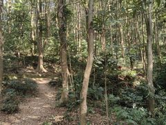 -广州市帽峰山景区