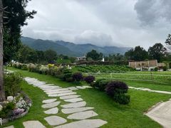-云禾壹海景庄园餐厅