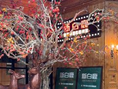 -新白鹿餐厅(城西银泰城店)