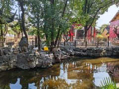 -龙华素斋(龙华路店)