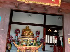 景点-大阳山国家森林公园