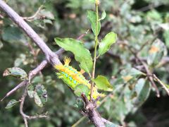 -野三坡清泉山风景区