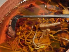 -星·South Beauty·俏江南(国贸店)