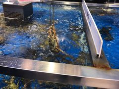 -盒马鲜生(莱蒙都会店)