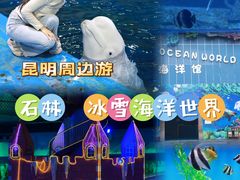 -石林冰雪海洋世界