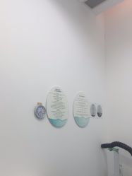 -agge蛋白医美