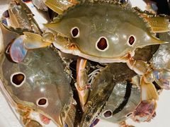 螃蟹-领鲜活海鲜榴莲自助火锅(东门店)