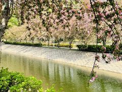 -海棠花溪(元大都城垣遗址公园)
