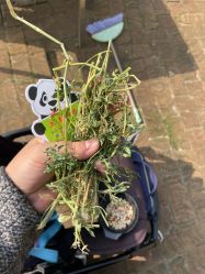 -上美四季动物农场