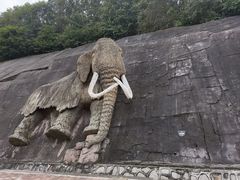 -哈尔滨北方森林动物园