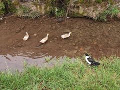 -会稽山峡洞漂流-上青古道