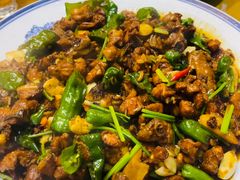 -食鸡公社辣子鸡·潍坊菜·烧烤