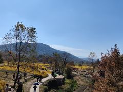 -塔川景区