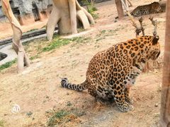 -石家庄市动物园