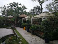 -二荆条·蜀鲜汇城市森林火锅