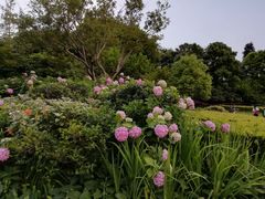 -杭州城北体育公园