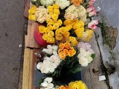 -循礼门鲜花花市(武汉循礼门店)